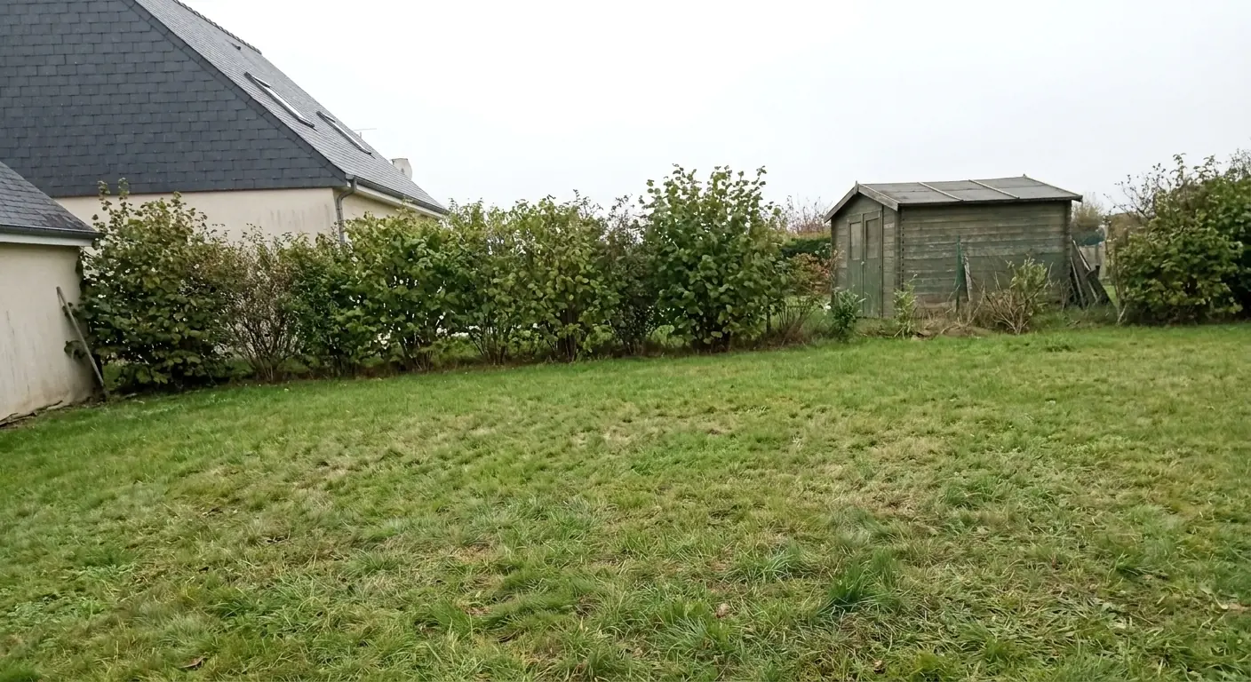Après : souches rognées, terrain à niveau